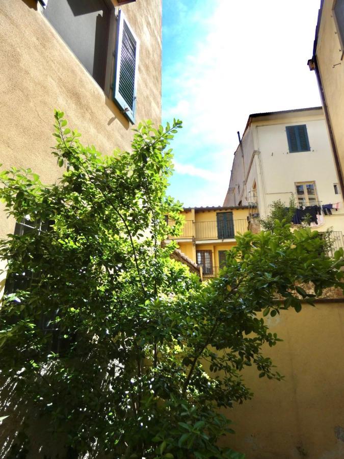 Maila Apartments 25Min From Florence Prato  Exterior photo
